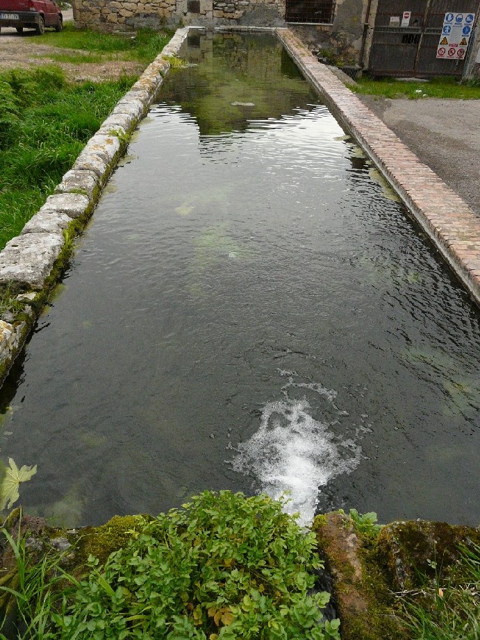 Fontanili del Lazio